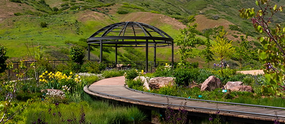 a boardwalk at the Red Butte Gardens in Salt Lake City