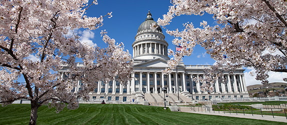 The Utah State Capitol Building surrounded by blooming cherry blossom trees